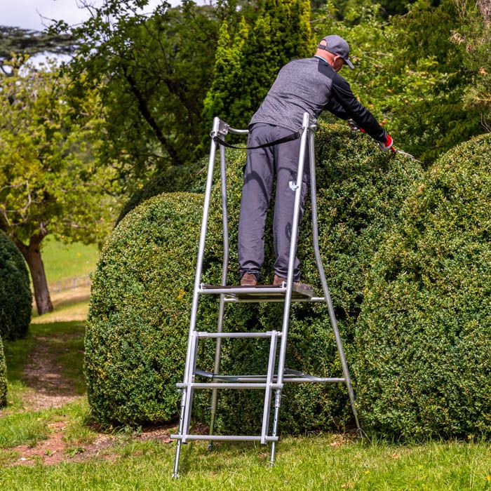 Hedge ladders best sale