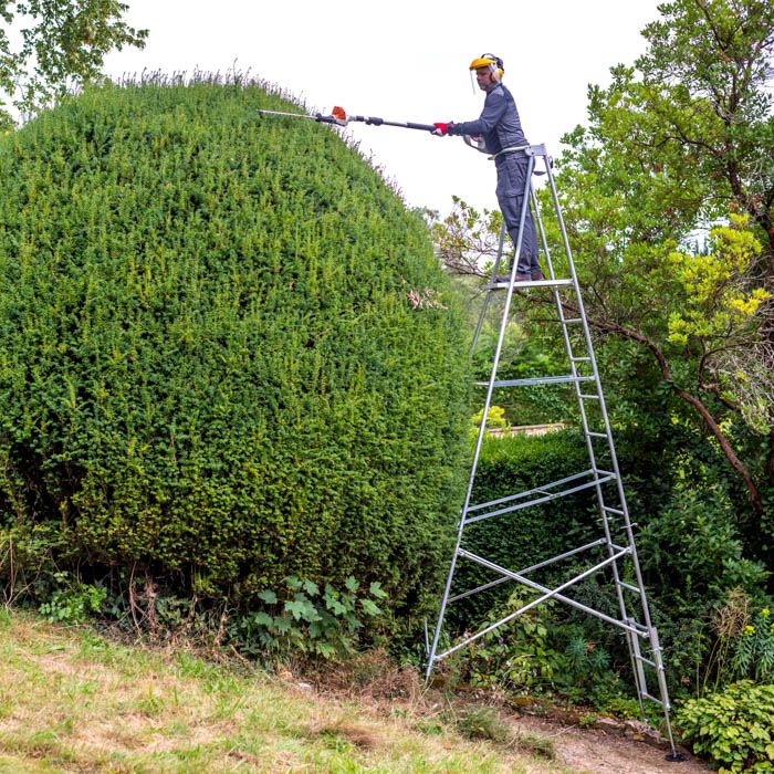 Platform ladders for shop hedge cutting