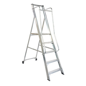 Lyte MagnaStep Aluminium Platform with Handrails