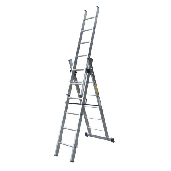 NLCL6