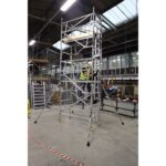 40752100_EI_MaleTrapdoorClimbing