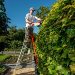 What Are the Best Ladders for Gardening Work?